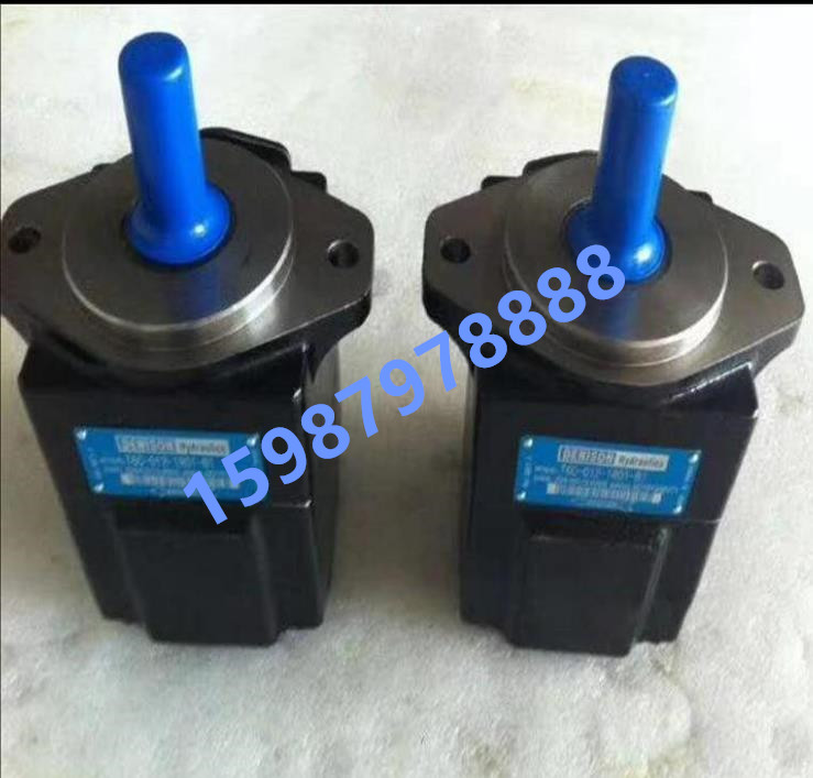 丹尼逊DENISON油泵