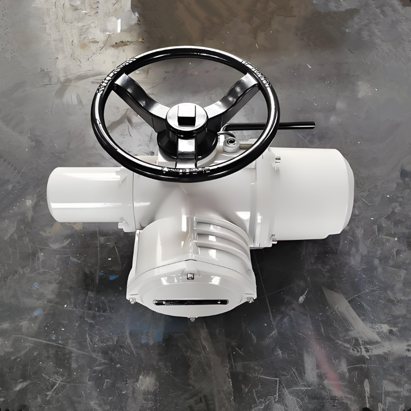 英国罗托克ROTORK电动执行器