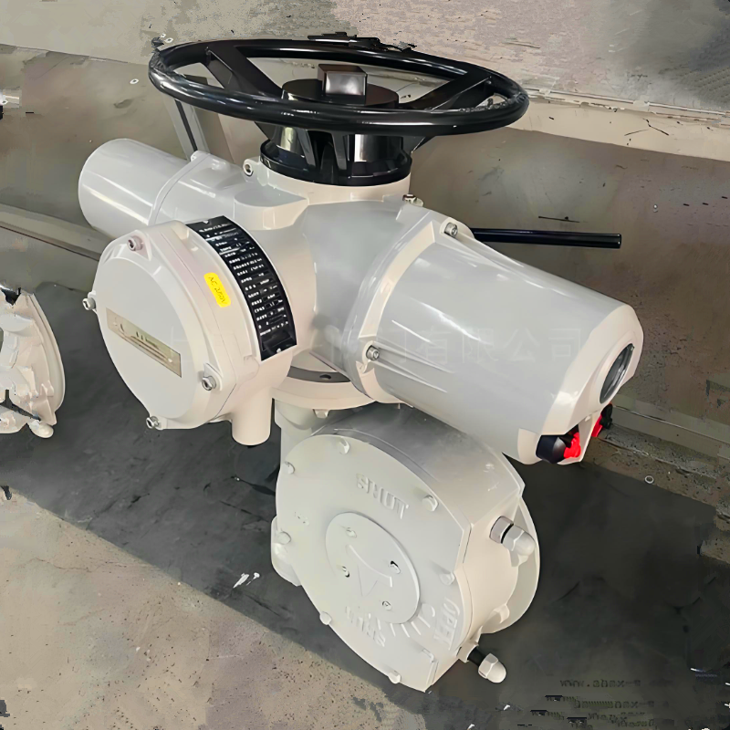 英国罗托克ROTORK电动执行器